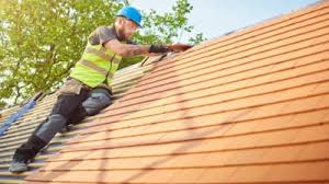 Best Roof Moss and Algae Removal  in Willamina, OR