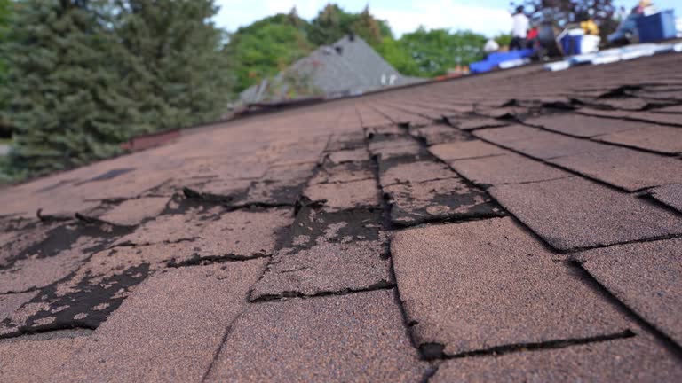 Best Roof Installation  in Willamina, OR